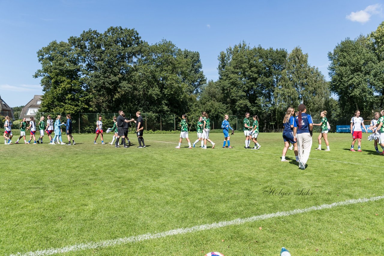 Bild 450 - wBJ Hamburger SV - VfL Wolfsburg : Ergebnis: 5:1